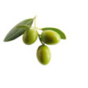 337080-antipasti-olives-isolated-iii.jpg