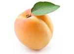 apricot.jpg