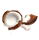 coconut-oil.jpg